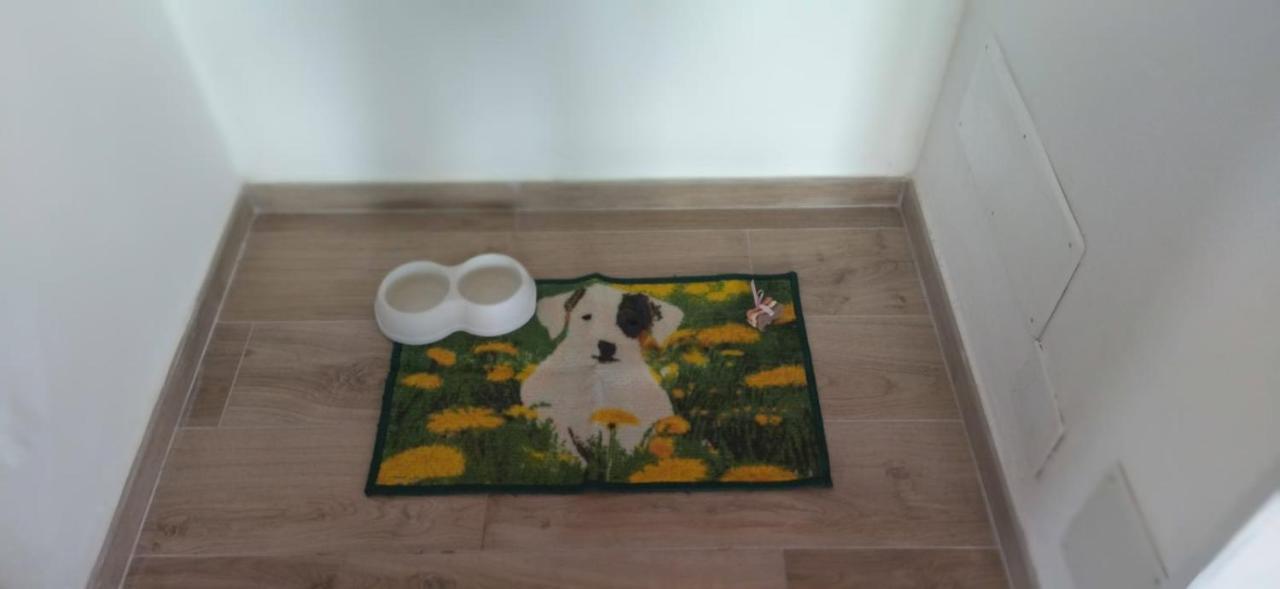 Appartamento Colle Farina Zagarolo ภายนอก รูปภาพ